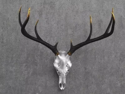 Deer Skull Mount Low-poly 3D model