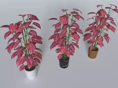 Pot Tropical Plant 2 Low-poly 3D model