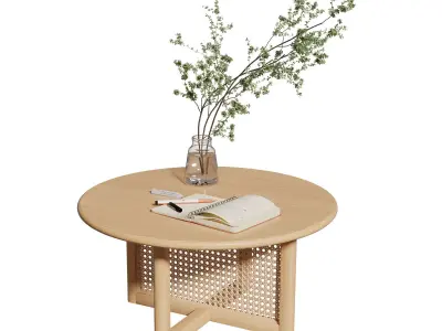 Homary Modern Natural Round Pine Wood Rattan Coffee Table 3D model