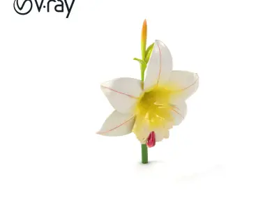 Freesia Grandiflora Large Blooms Model Pack Low-poly 3D model