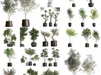 Collection of decorative trees 31 pieces 3D model