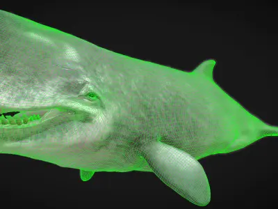 Livyatan Low-poly 3D model