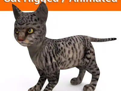 Black 3d Cat rigged and animated  Low-poly 3D model