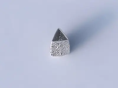 Vase triangle with organic lattice and twisted thickness 3D print model