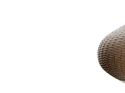 Rattan Single Globe Pendant 3D model