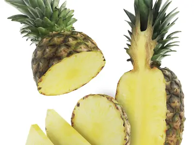 Pineapple 3D model