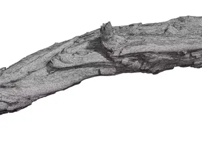 Photoreal Fallen Log  Low-poly 3D model