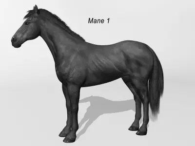 Horse - Black 3D model