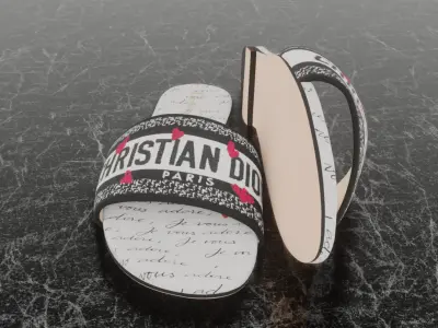 CHRISTIAN DIOR DWAY SLIDE 3D SLIPPER 3D model