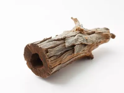 Rustic Wood Log model pack Texture