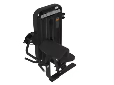 DHZ Fitness Camber Curl 3D model