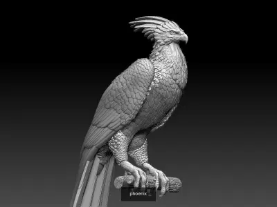 phoenix 3D Model Collection