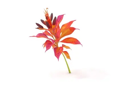 Vibrant Floral Arrangement model pack Low-poly 3D model