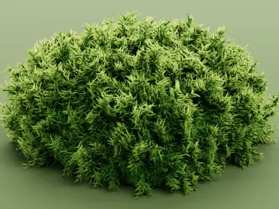 Moss V1 Low-poly 3D model