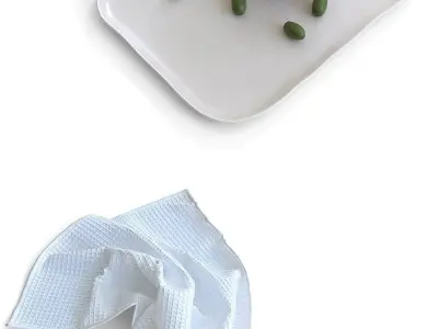 ZARA Home Decor Collection 3D model