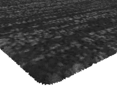 Rug Set 1464 3D model