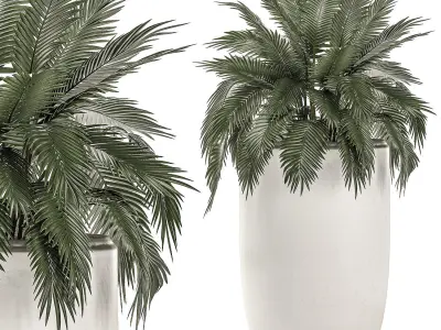Plants in a white flowerpot for decor and interior design 503 3D model