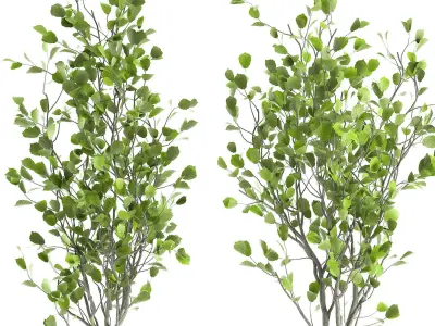 Decorative tree in a flowerpot for the interior 957 3D model