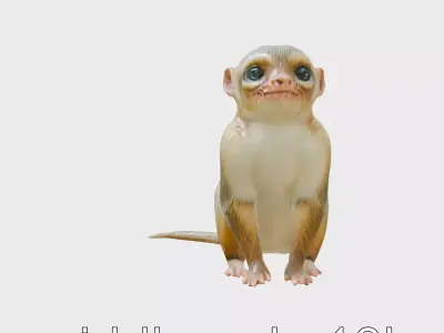 Miniature Marmoset with Soft Fur and Tufted Ears 3D Model Low-poly 3D model