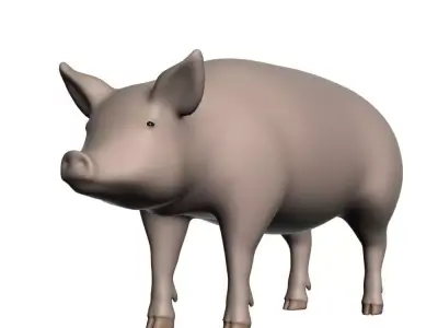 Realistic Pig 001 3D model
