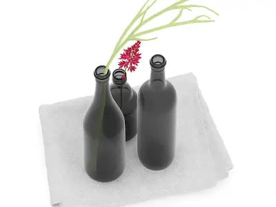 Towels and Black Bottles 3D model