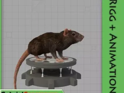 Common Rat 3D model