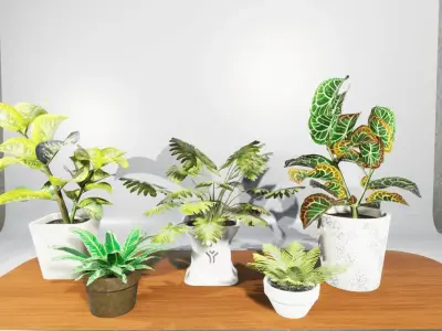 House Plants Collection Low-poly 3D model