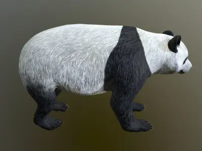 Panda -Lowpoly bear Low-poly 3D model