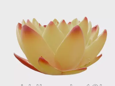 Stylized Water Lily with Glossy Petals model pack Low-poly 3D model