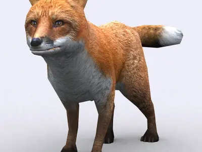 3DRT - Fox Low-poly 3D model