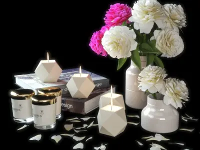 set1216 candles and flowers 3D model