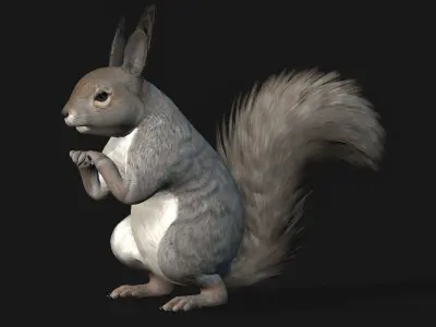 Squirrel-A1 3D model