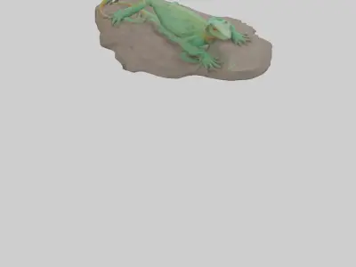 Lacerta Lizard resting model Low-poly 3D model