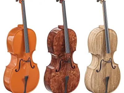 SZD Acoustic Cello with Soft Case Retro by Amazon 3D model