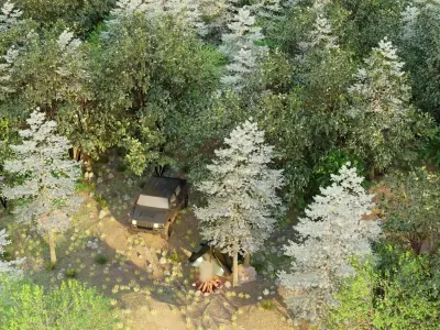 Forest Trees and bornfire Low-poly 3D model