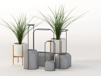 Scadpad Mini Planters Group for Table Top Centerpiece Decoration 3D model