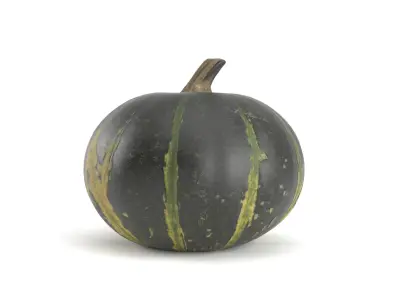 Decorative Pumpkin Gourd 1 3D model