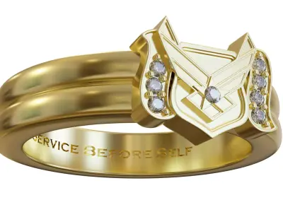 Patriotic Medallion Service Ring 3D print model