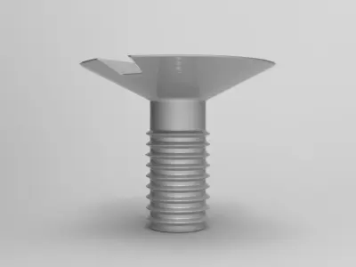 Screw Table 3D model