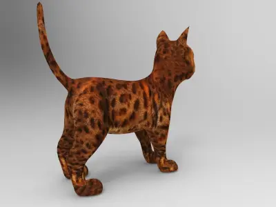 3d Pet Cat low poly  Low-poly 3D model