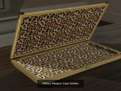 Weapon Case Pack