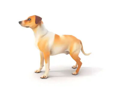 Jack Russell Terrier model pack Low-poly 3D model