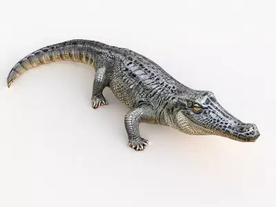 Crocodile Cartoon Low-poly 3D model