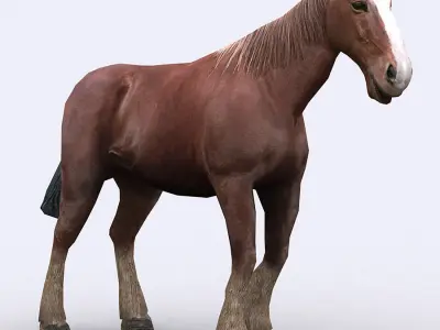 3DRT - Domestic Animals  Low-poly 3D model