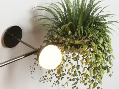 wall light plant Indoor  outdoor plants stand pot 3D model