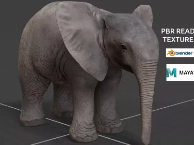 baby Elephant  3D model