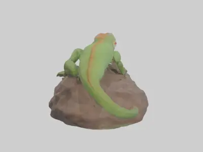 Caiman Lizard basking model Low-poly 3D model