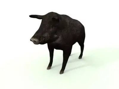 Wild Pig Low-poly 3D model