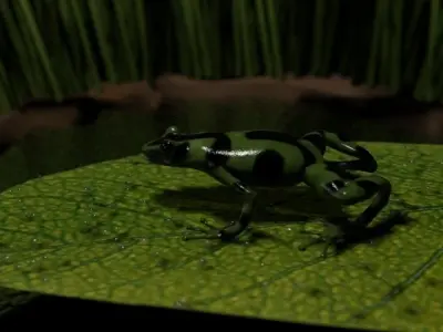 Grenouille-Frog frog on leaf 3D model