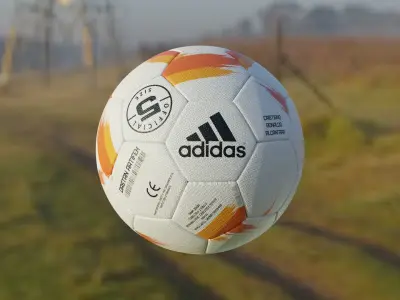 Football And A Grass field 3D model